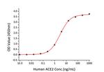 SARS-CoV-2 Spike Protein (RBD) (aa319-541), His Tag Protein in ELISA (ELISA)