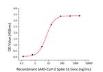 SARS-CoV-2 Spike Protein S1 (aa11-682), hFc-His Tag Protein in ELISA (ELISA)