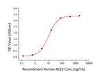 SARS-CoV-2 Spike Protein S1/S2 (aa11-1208), His Tag Protein in ELISA (ELISA)