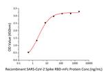 SARS-CoV-2 Spike Protein (RBD) (aa319-541), mFc Tag Protein in ELISA (ELISA)