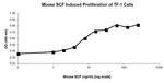 Mouse SCF Protein