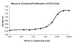 Mouse IL-4 Protein