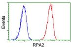 RPA2 Antibody in Flow Cytometry (Flow)