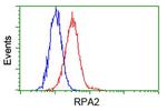 RPA2 Antibody in Flow Cytometry (Flow)