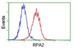 RPA2 Antibody in Flow Cytometry (Flow)