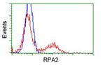 RPA2 Antibody in Flow Cytometry (Flow)