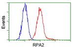 RPA2 Antibody in Flow Cytometry (Flow)