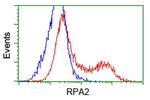 RPA2 Antibody in Flow Cytometry (Flow)