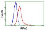 RPA2 Antibody in Flow Cytometry (Flow)