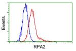 RPA2 Antibody in Flow Cytometry (Flow)