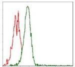 p70 S6 Kinase Antibody in Flow Cytometry (Flow)