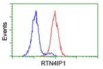 RTN4IP1 Antibody in Flow Cytometry (Flow)