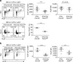 RUNX1 Antibody in Flow Cytometry (Flow)