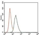 RUNX3 Antibody in Flow Cytometry (Flow)