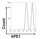 Rabbit IgG (H+L) Highly Cross-Adsorbed Secondary Antibody in Flow Cytometry (Flow)