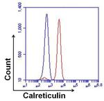 Rabbit IgG (H+L) Highly Cross-Adsorbed Secondary Antibody in Flow Cytometry (Flow)