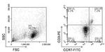 Rat IgG2a Secondary Antibody in Flow Cytometry (Flow)