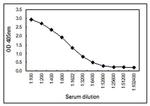 Human IgM Secondary Antibody in ELISA (ELISA)