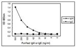 Human IgM Secondary Antibody in ELISA (ELISA)