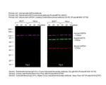 Human IgG (H+L) Cross-Adsorbed Secondary Antibody in Western Blot (WB)