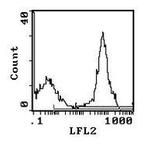 Rat Kappa Light Chain Secondary Antibody in Flow Cytometry (Flow)