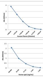 Human IgA1 Secondary Antibody in ELISA (ELISA)