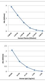 Human IgA1 Secondary Antibody in ELISA (ELISA)