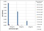 Human IgG1 Secondary Antibody in ELISA (ELISA)