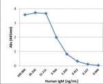 Human IgM Secondary Antibody in ELISA (ELISA)