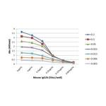 Mouse IgG2b Secondary Antibody in ELISA (ELISA)