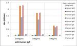 Human IgA1/IgA2 Secondary Antibody in ELISA (ELISA)