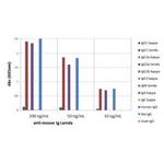 Mouse Lambda Light Chain Secondary Antibody in ELISA (ELISA)