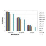 Mouse IgG (H+L) Secondary Antibody in ELISA (ELISA)