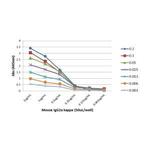 Mouse IgG2a (Kappa light chain) Secondary Antibody in ELISA (ELISA)