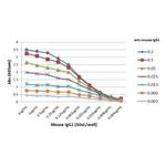 Mouse IgG1 Secondary Antibody in ELISA (ELISA)