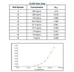 Canine IgA Secondary Antibody in ELISA (ELISA)