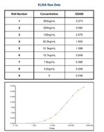 Canine IgE Secondary Antibody in ELISA (ELISA)