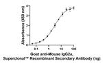 Mouse IgG2a Secondary Antibody in ELISA (ELISA)