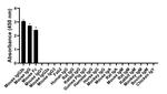 Mouse IgG2b Secondary Antibody