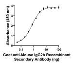 Mouse IgG2b Secondary Antibody in ELISA (ELISA)