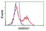 SAMHD1 Antibody in Flow Cytometry (Flow)