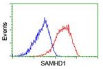 SAMHD1 Antibody in Flow Cytometry (Flow)