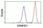 SAMHD1 Antibody in Flow Cytometry (Flow)