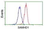 SAMHD1 Antibody in Flow Cytometry (Flow)