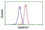 SAMHD1 Antibody in Flow Cytometry (Flow)