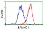 SAMHD1 Antibody in Flow Cytometry (Flow)