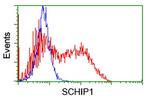 SCHIP1 Antibody in Flow Cytometry (Flow)