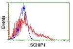 SCHIP1 Antibody in Flow Cytometry (Flow)