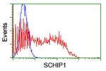 SCHIP1 Antibody in Flow Cytometry (Flow)