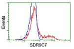 SDR9C7 Antibody in Flow Cytometry (Flow)